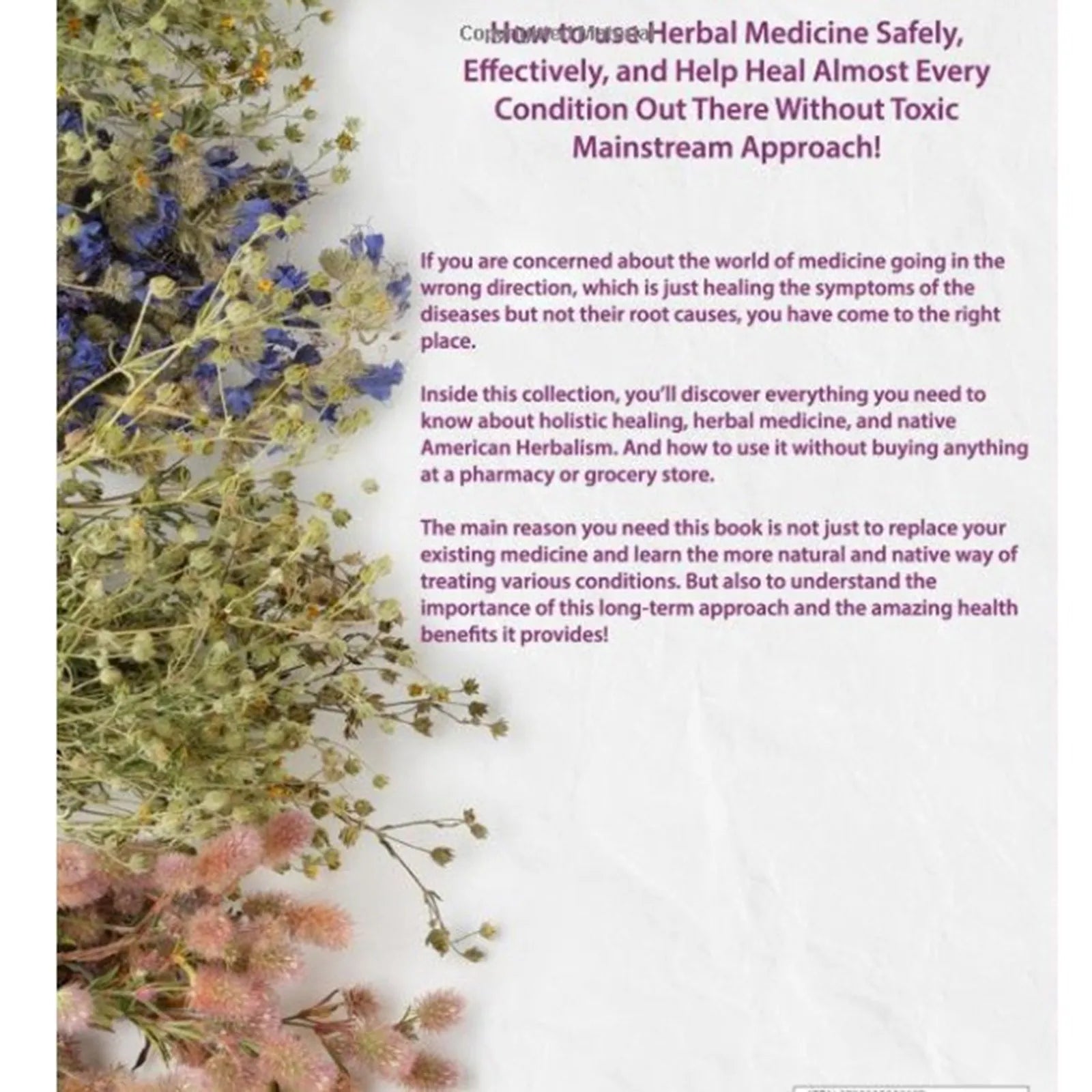The Herbal Remedies & Natural Medicine Bible